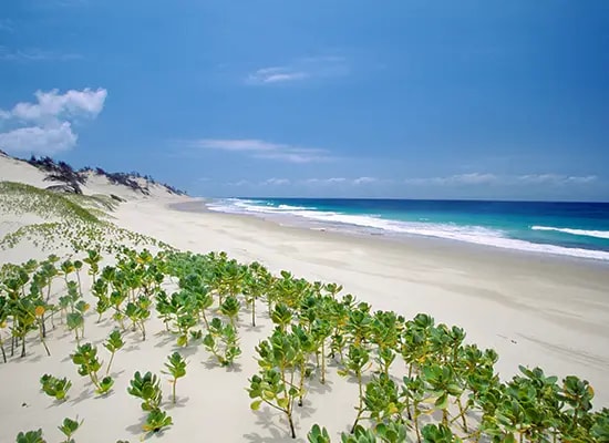 Japonya Uçak Bileti