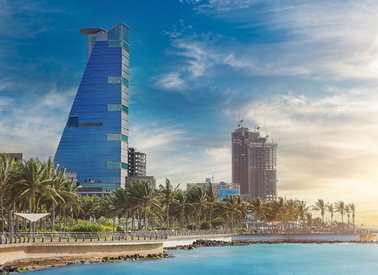 Japonya Uçak Bileti