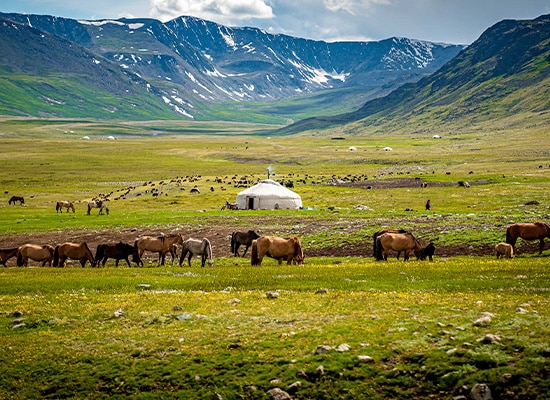 Japonya Uçak Bileti