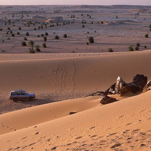 Mısır Sharm El-Sheikh Uçuşları