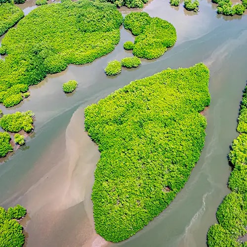 Mısır Sharm El-Sheikh Uçuşları
