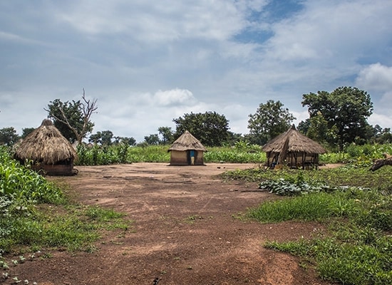 Japonya Uçak Bileti