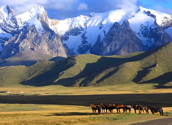 Japonya Uçak Bileti