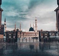 Turkish Airlines Medina Flights