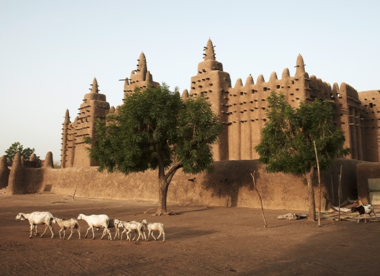 Japonya Uçak Bileti