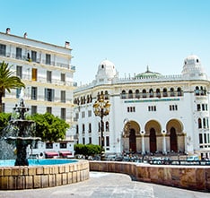 Turkish Airlines Algiers Flights