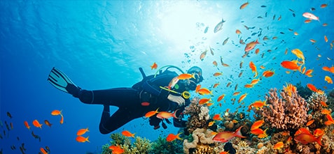 Turkish Airlines Hurghada Flights